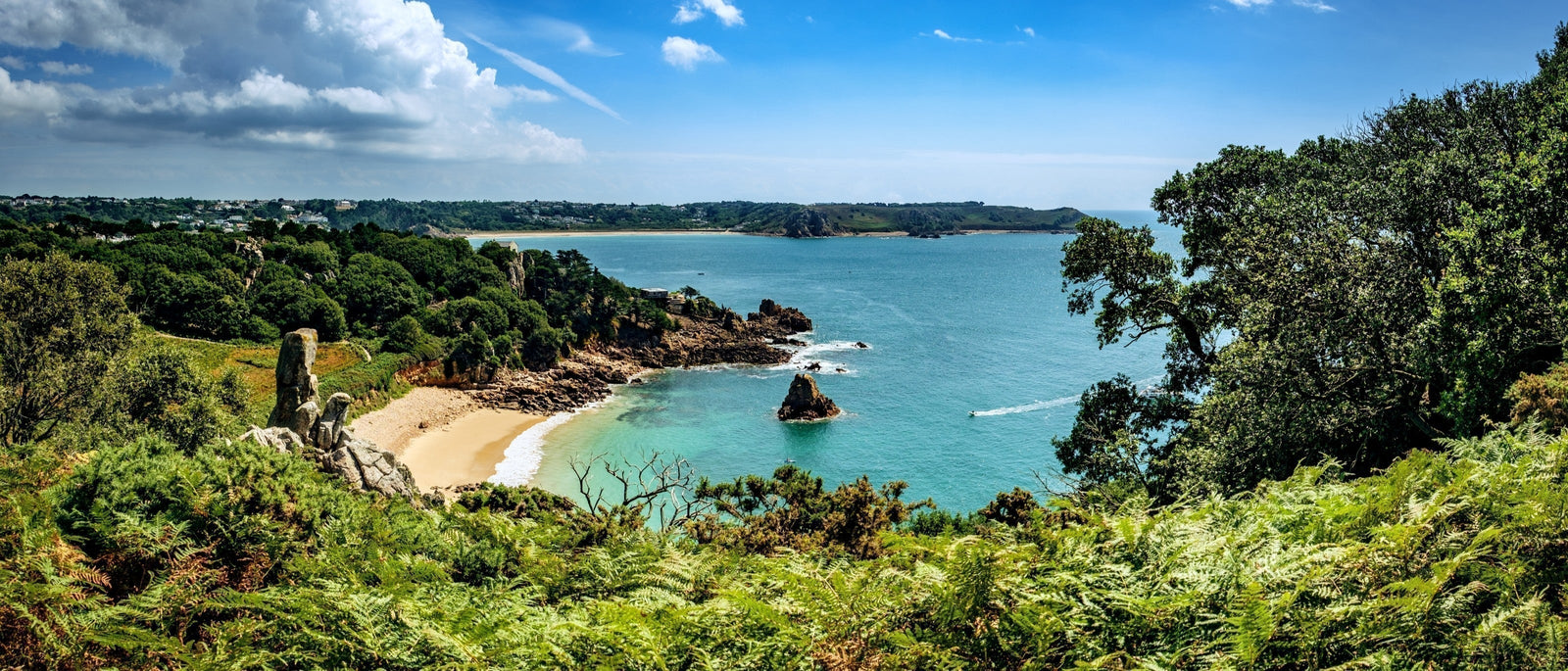 Field Guide: Cornwall