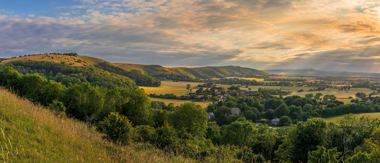 Field Guide: Cornwall