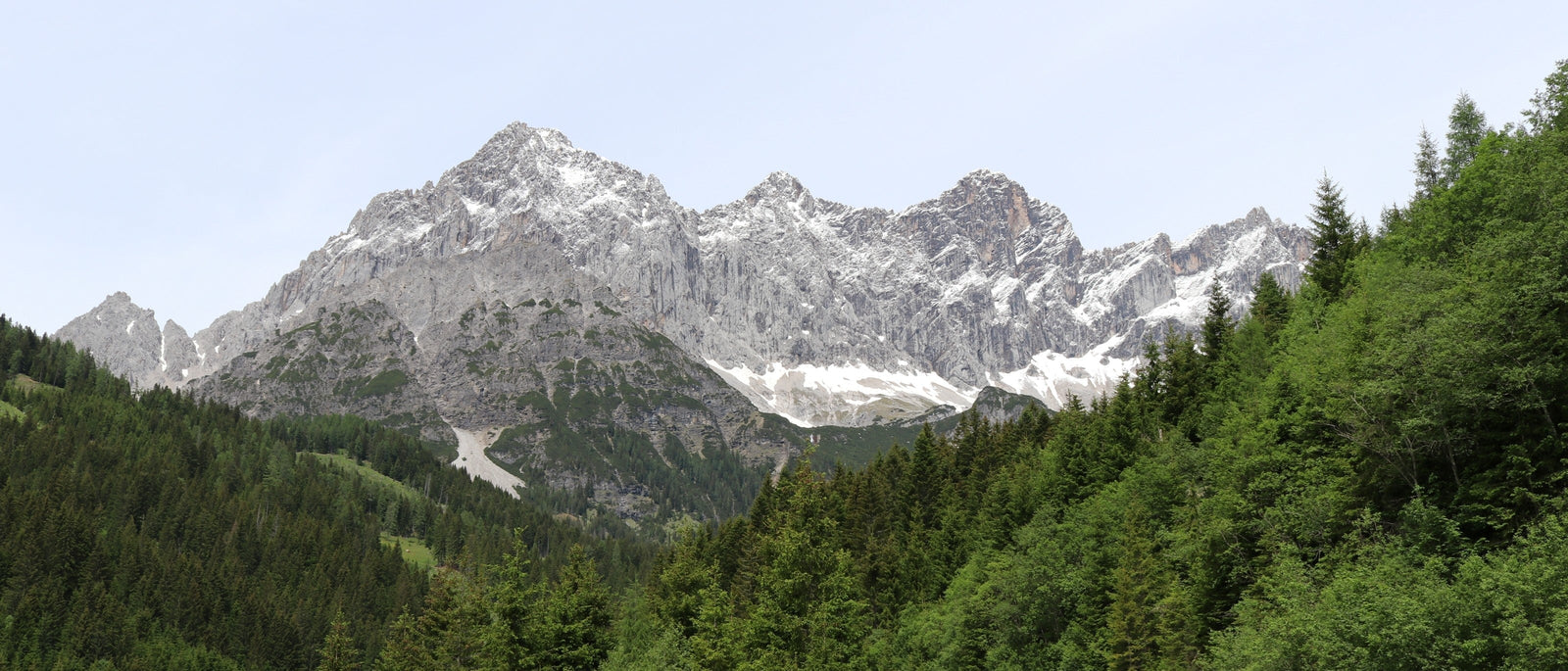 Snow-streaked peaks of the Dachstein massif rising above dense spruce forest, Filzmoos, Austria