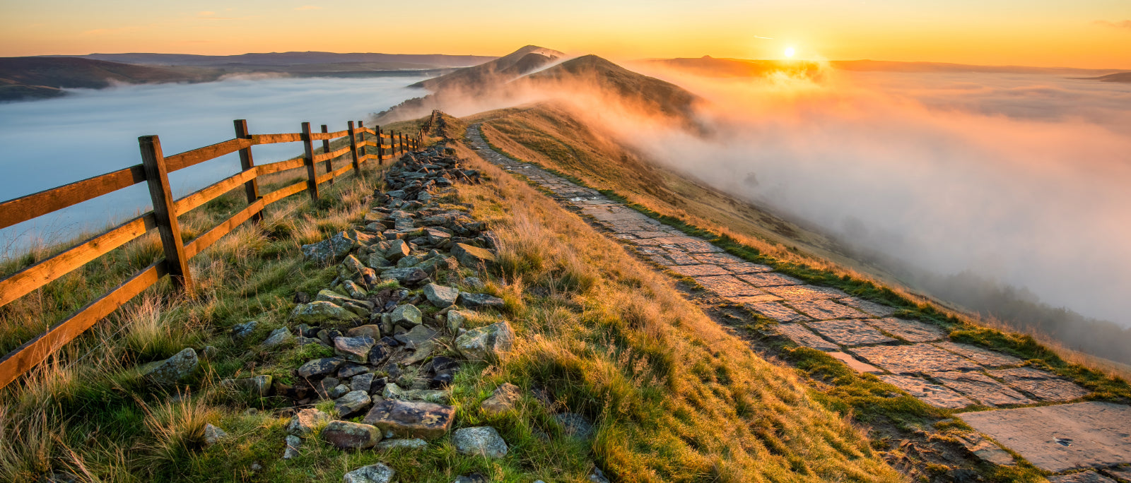 Field Guide: Cornwall