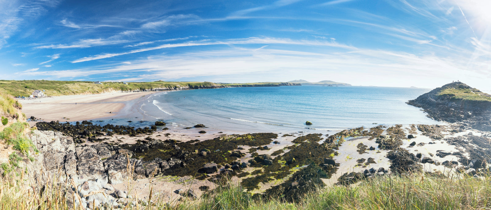 Field Guide: Cornwall