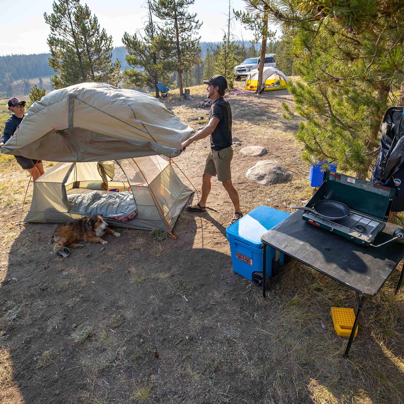 Blacktail 3 Big Agnes TBT3V26 Tents 3P / Vetiver
