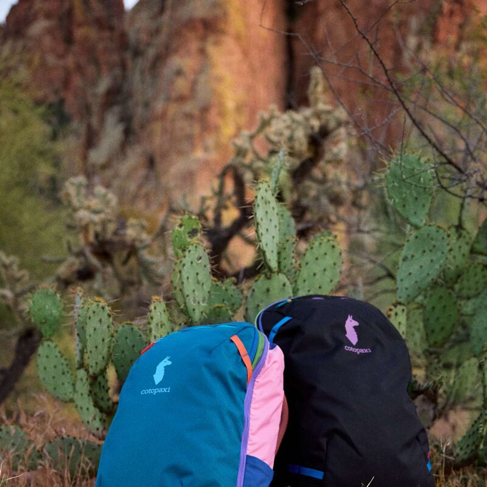 Allpa 28L Travel Pack | Del Día Cotopaxi A28-S25-DD Backpacks 28L / Del Dia PT