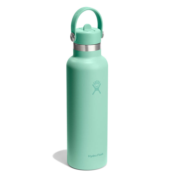 21 oz Standard Mouth w/ Flex Straw Cap Hydro Flask S21CFS344 Water Bottles 21 oz / Mermaid Green