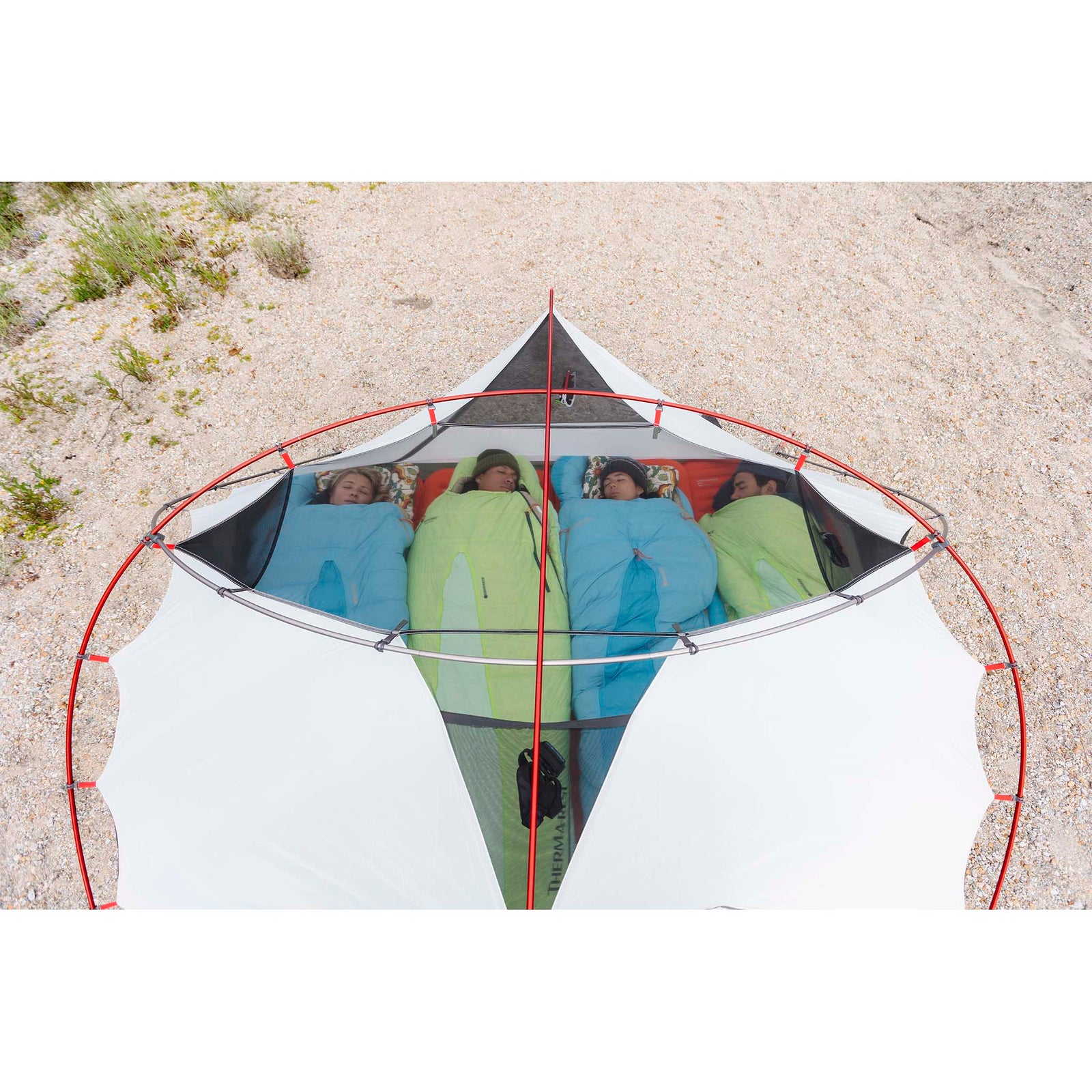 Elixir 4 Tent MSR Tents 4P / Green
