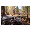 Talon 33 Hex | Osprey x Crazy Creek Collab Osprey 10007190 Backpacks 33L / Botanica/Green