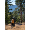 Flex Capacitor 40-60L Backpack with Waist Belt Sierra Designs Backpacks