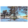 Connect Tree Tent | 2 Person Tentsile CTT3FOR Tents 2 person / Forest Green