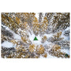 Stingray Tree Tent | 3 Person Tentsile S3PRED Tents 3 person / Predator Camo