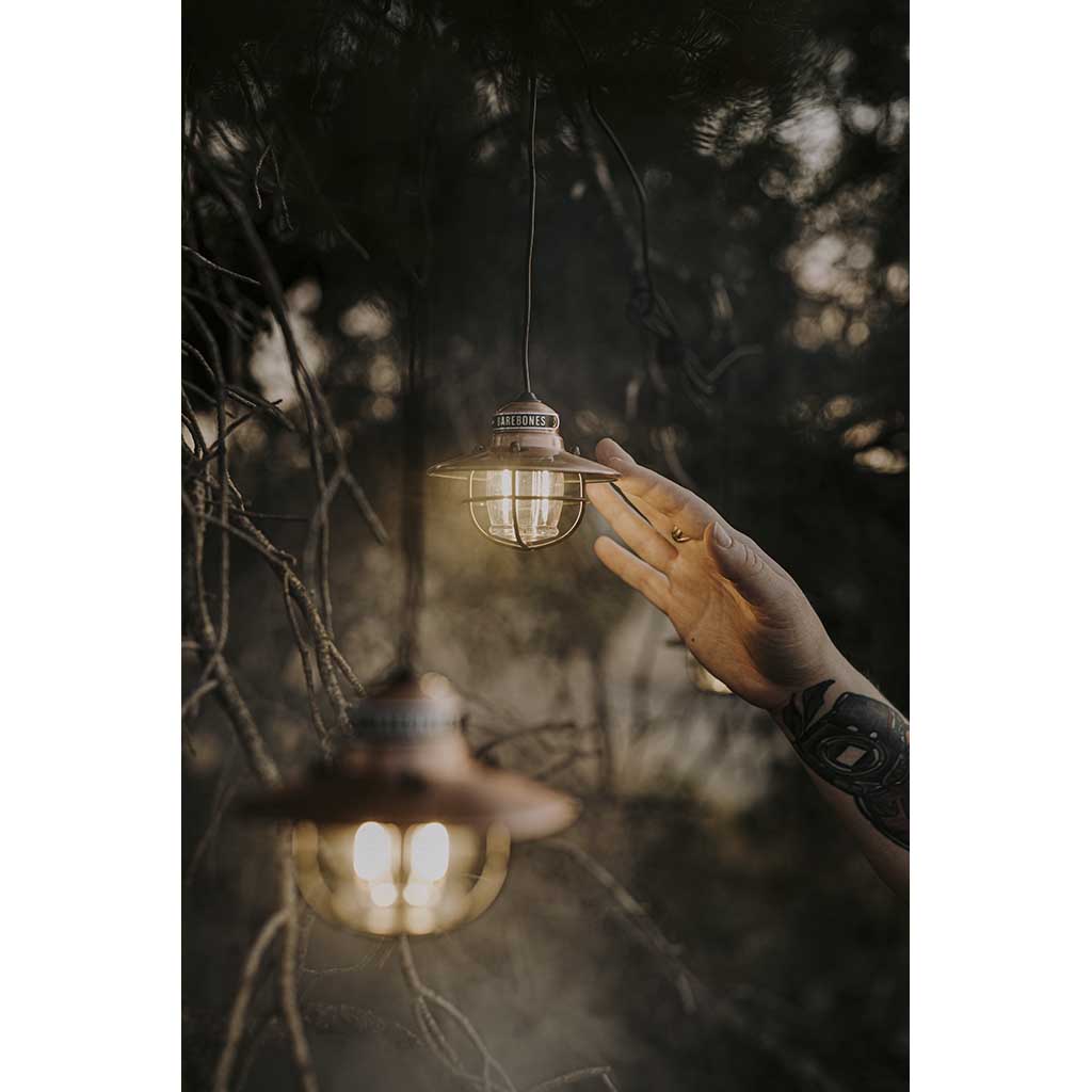 Edison String Lights Barebones Living LIV-269 String Lights One Size / Copper