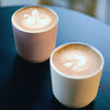 To Go Tumbler KINTO Coffee Flasks