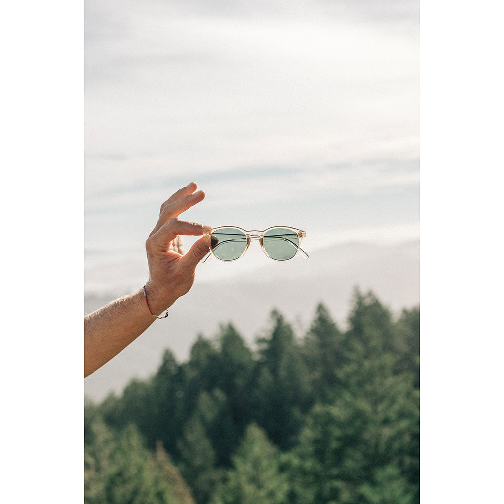 Yuba Sunski SUN-YU-CHF Sunglasses One Size / Champagne Forest