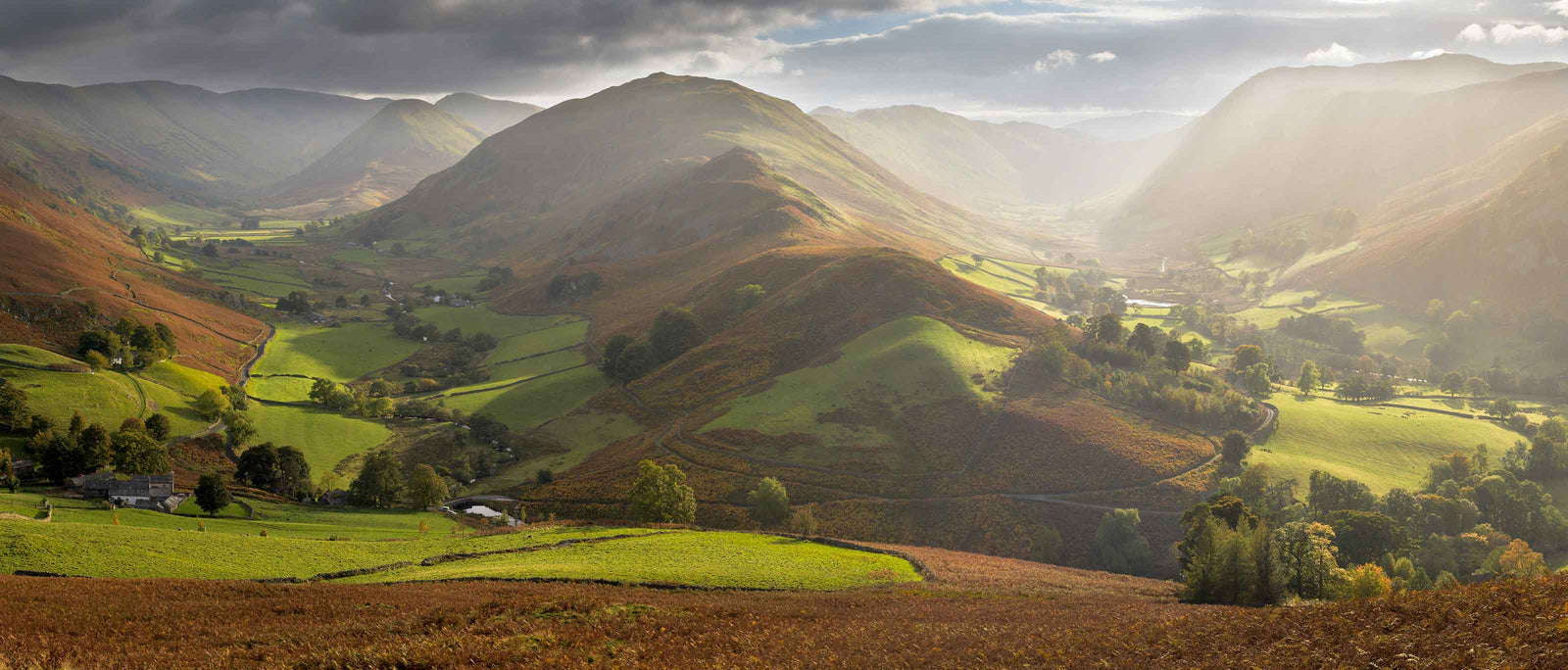 Field Guide: Lake District | Field Guides | WildBounds UK
