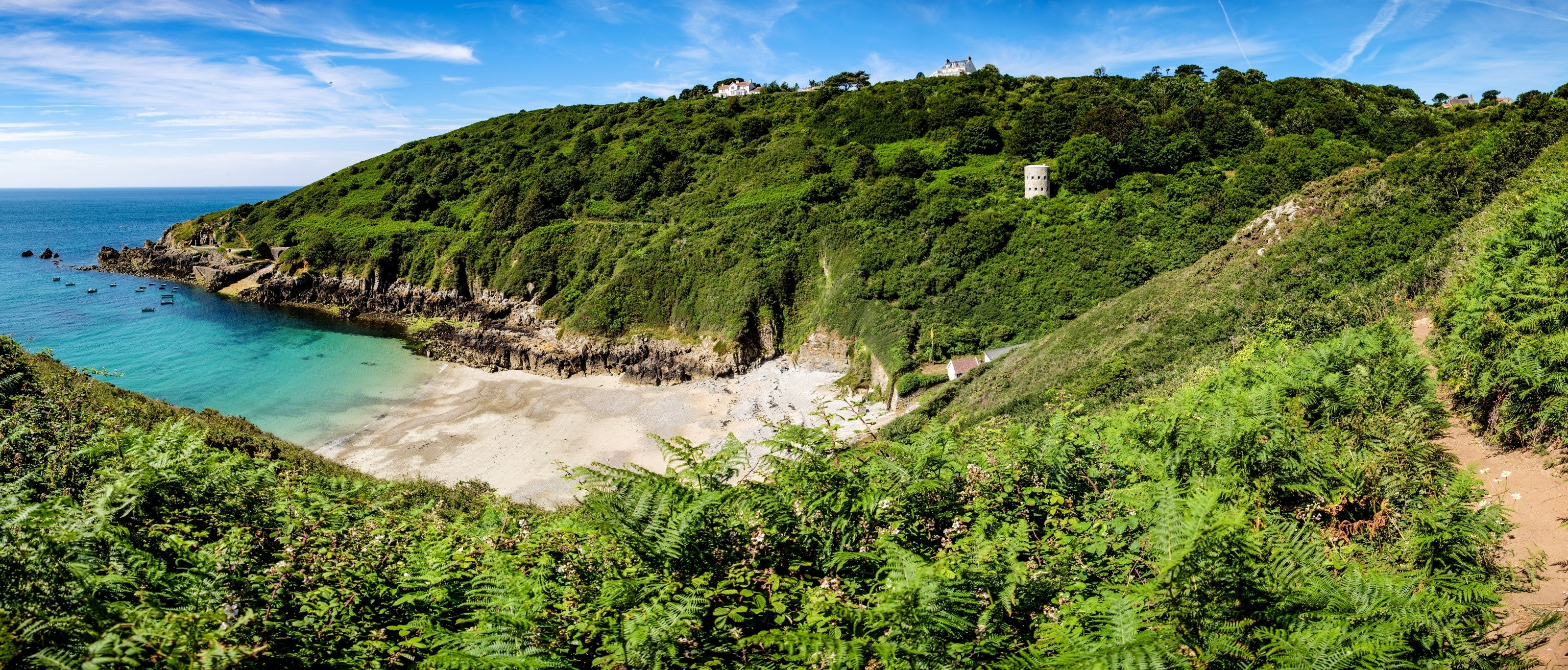 Field Guide: Guernsey, Channel Islands | Field Guides | WildBounds UK