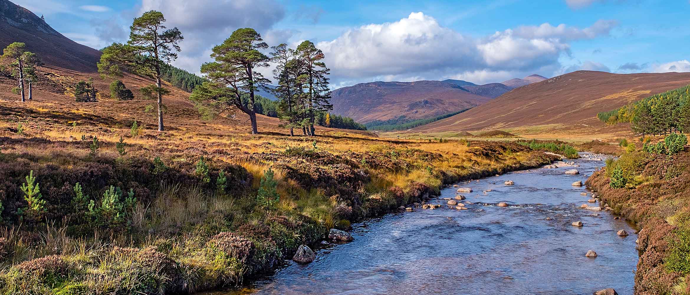 ‘Stravaigin’ In The Cairngorms | The Story of Nan Shepherd