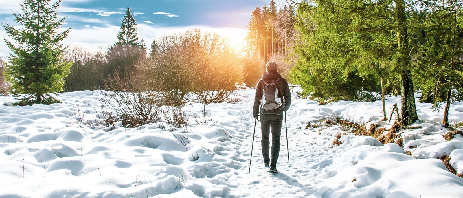10 Reasons to Head Out on a Winter Walk | Camp Notes | WildBounds UK