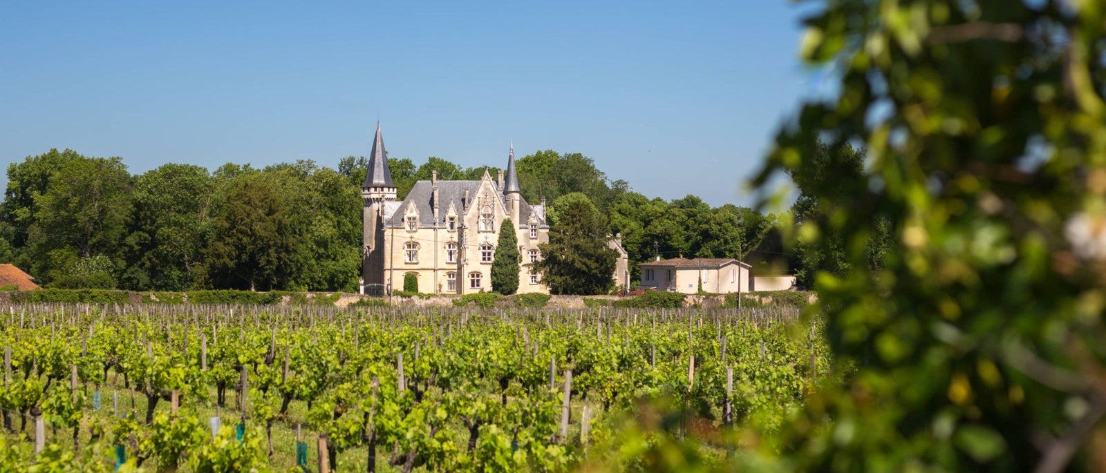 Bordeaux chateau surrounded by vineyards