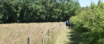 Bois de Fineshade : Une micro-aventure