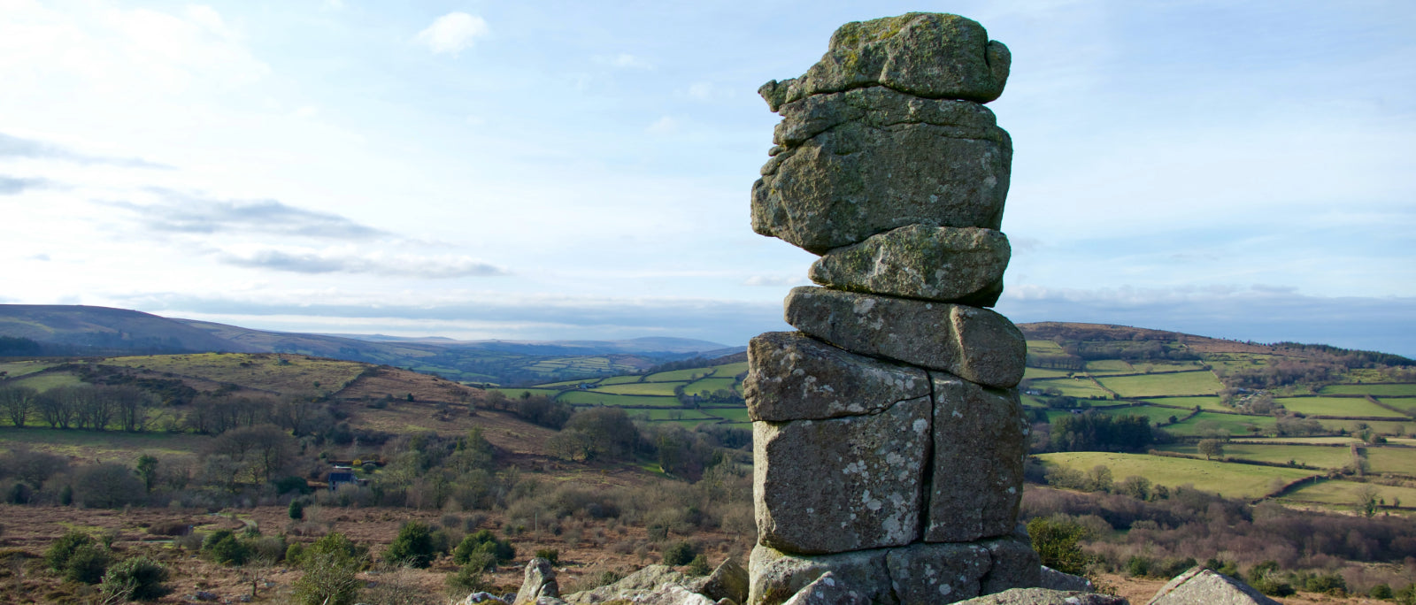 Field Guide: Dartmoor