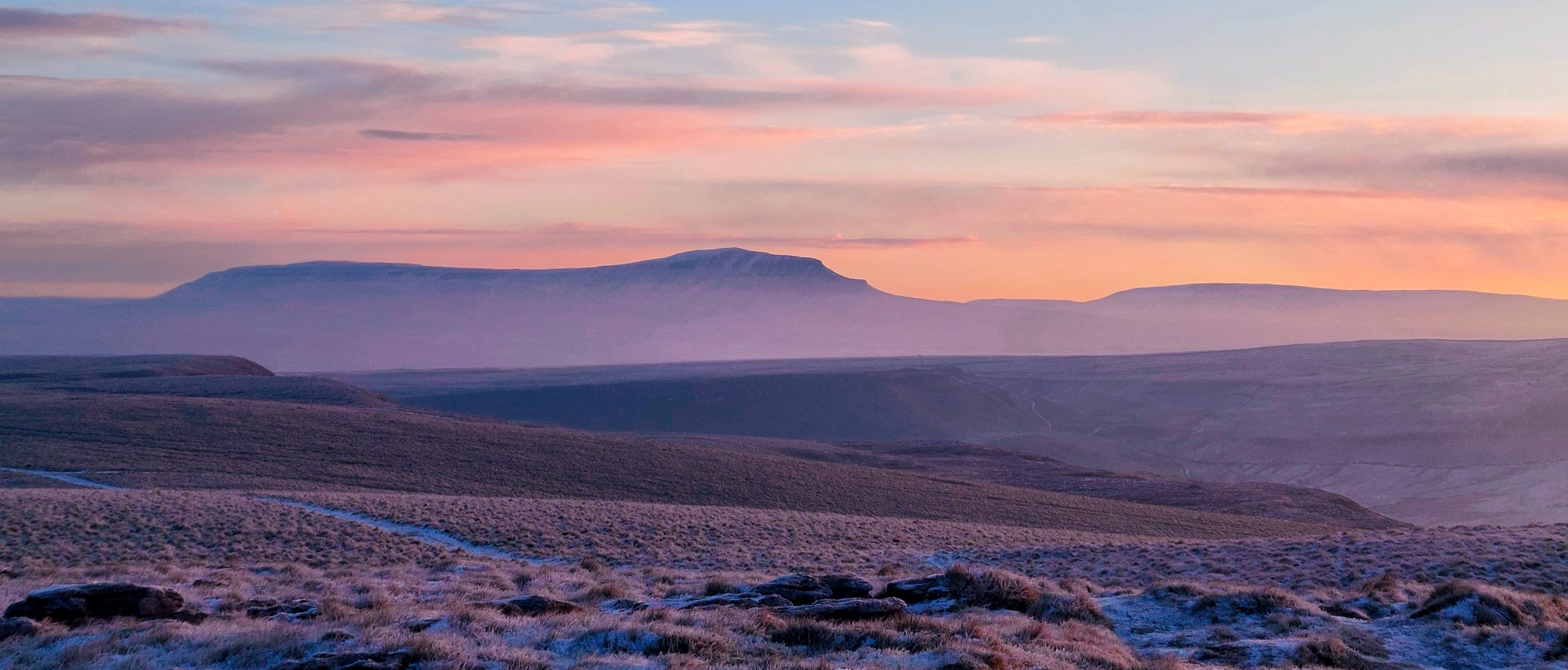 Field Guide: Yorkshire Dales