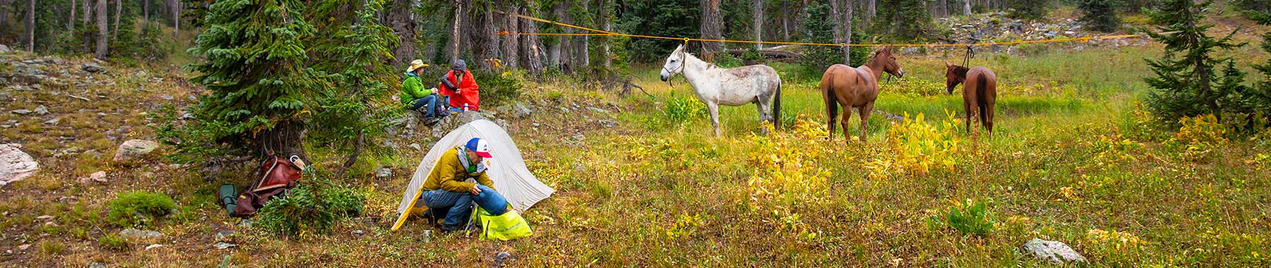 Big Agnes |  Fly Creek Tents