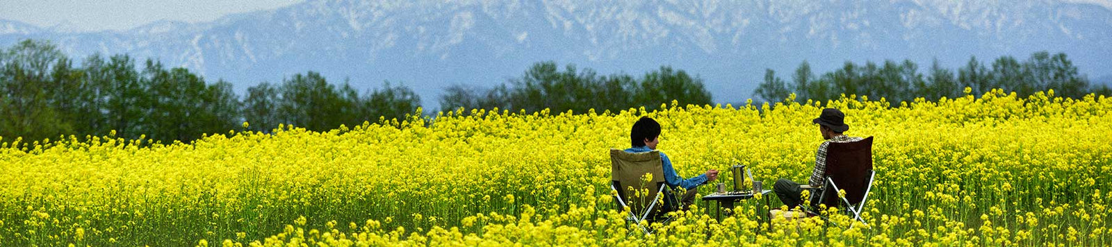 Snow Peak | Low Chair 30