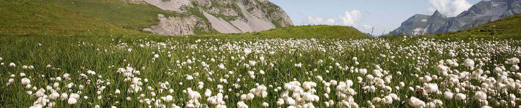 Fabriqué en coton biologique