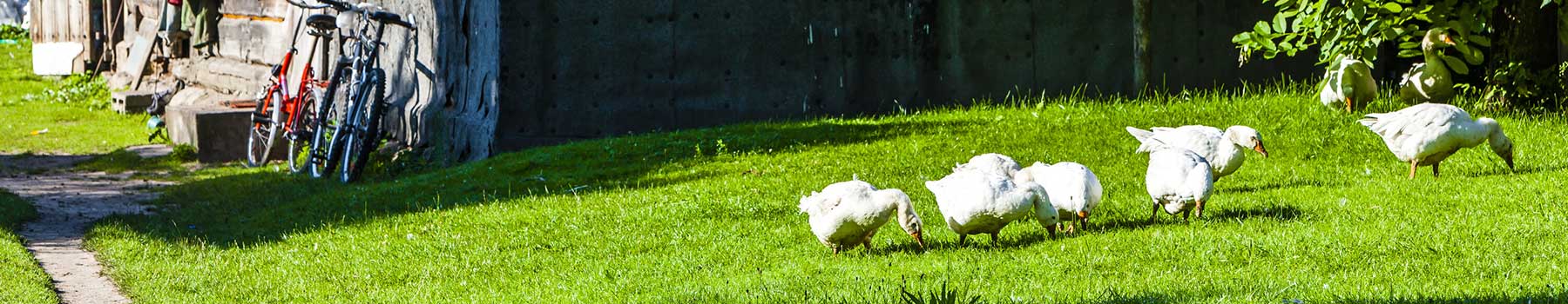 Fabriqué avec du duvet traçable