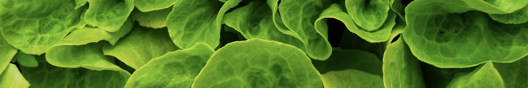 Produits respectueux de l'environnement