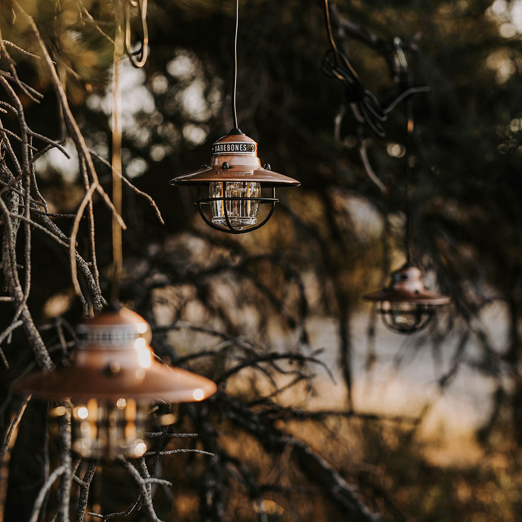 Edison String Lights Barebones Living LIV-269 String Lights One Size / Copper