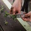 Herb Harvest and Strip Tool Barebones Living GDN-097 Multi-Tools One Size / Tumbled Steel