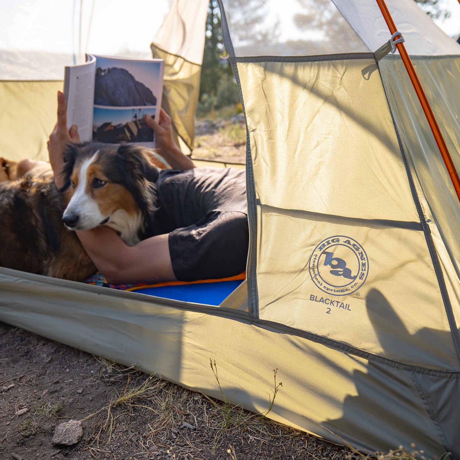 Blacktail 3 Big Agnes TBT3V26 Tents 3P / Vetiver