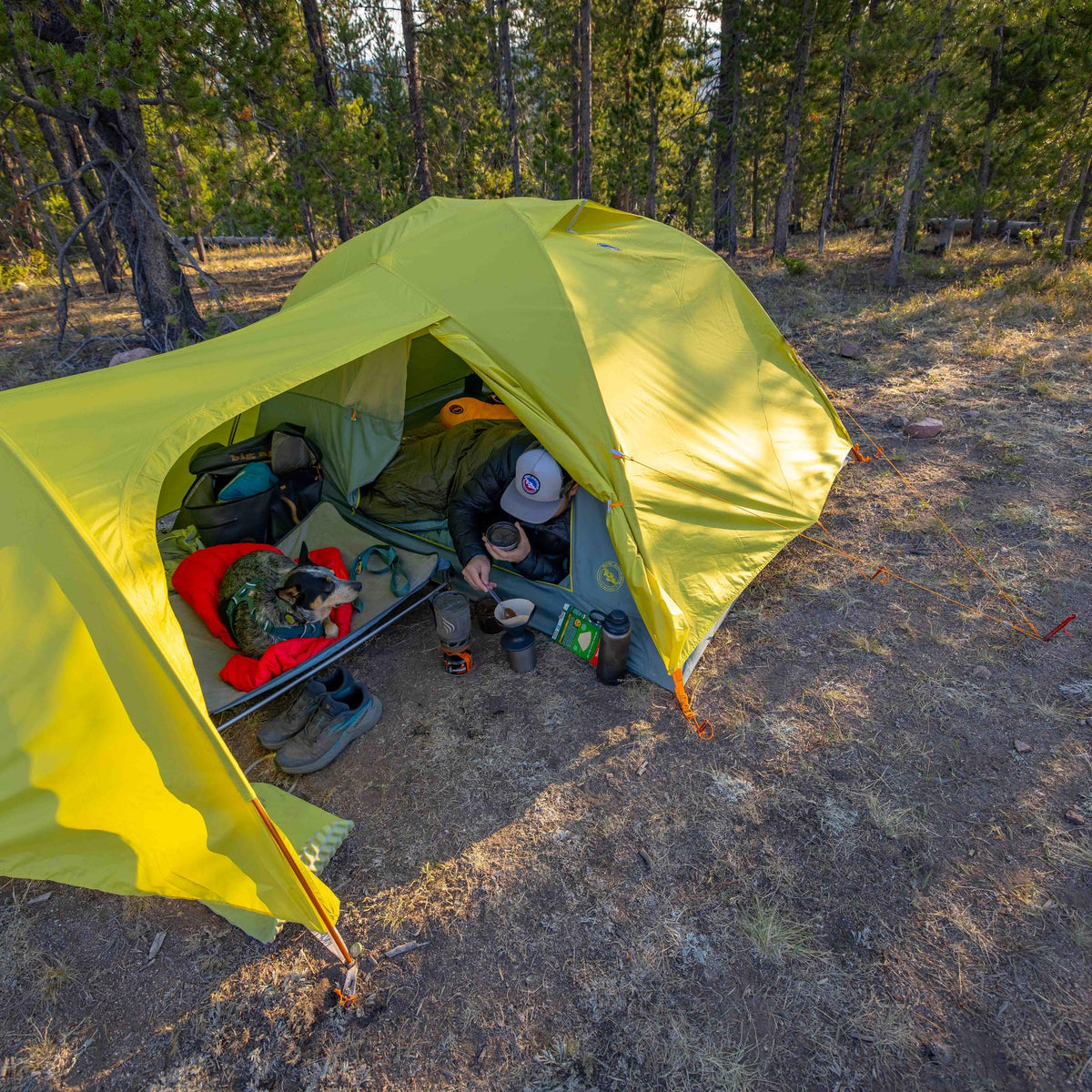 Blacktail Hotel 3 Big Agnes TFFBT325 Tents 3P / Warm Olive/Chinois Green