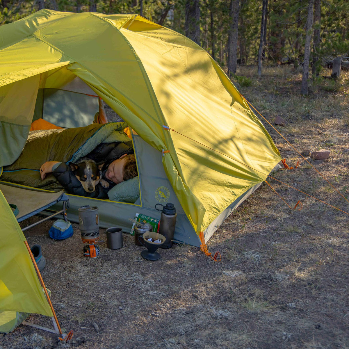 Blacktail Hotel 3 Big Agnes TFFBT325 Tents 3P / Warm Olive/Chinois Green