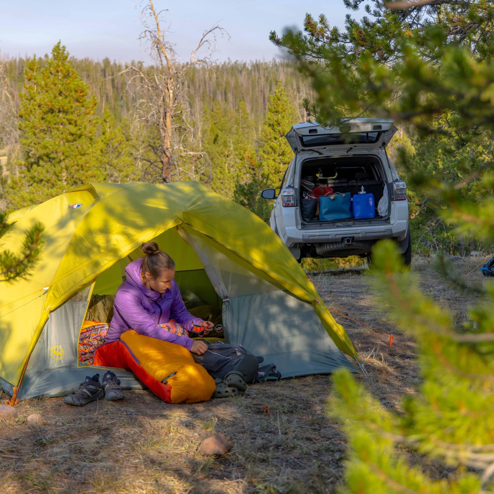 Blacktail Hotel 3 Big Agnes TFFBT325 Tents 3P / Warm Olive/Chinois Green