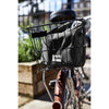 Insulated Lunch Bag Black+Blum LBB018 Insulated Cool Bags One Size / Black