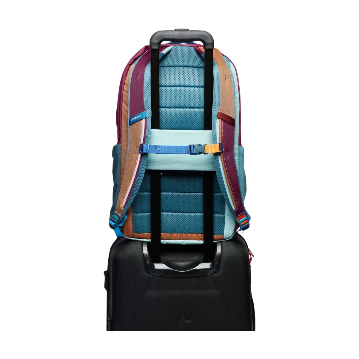 Allpa Daypack | 26L Cotopaxi A26-S26-DD Backpacks 26L / Del Dia