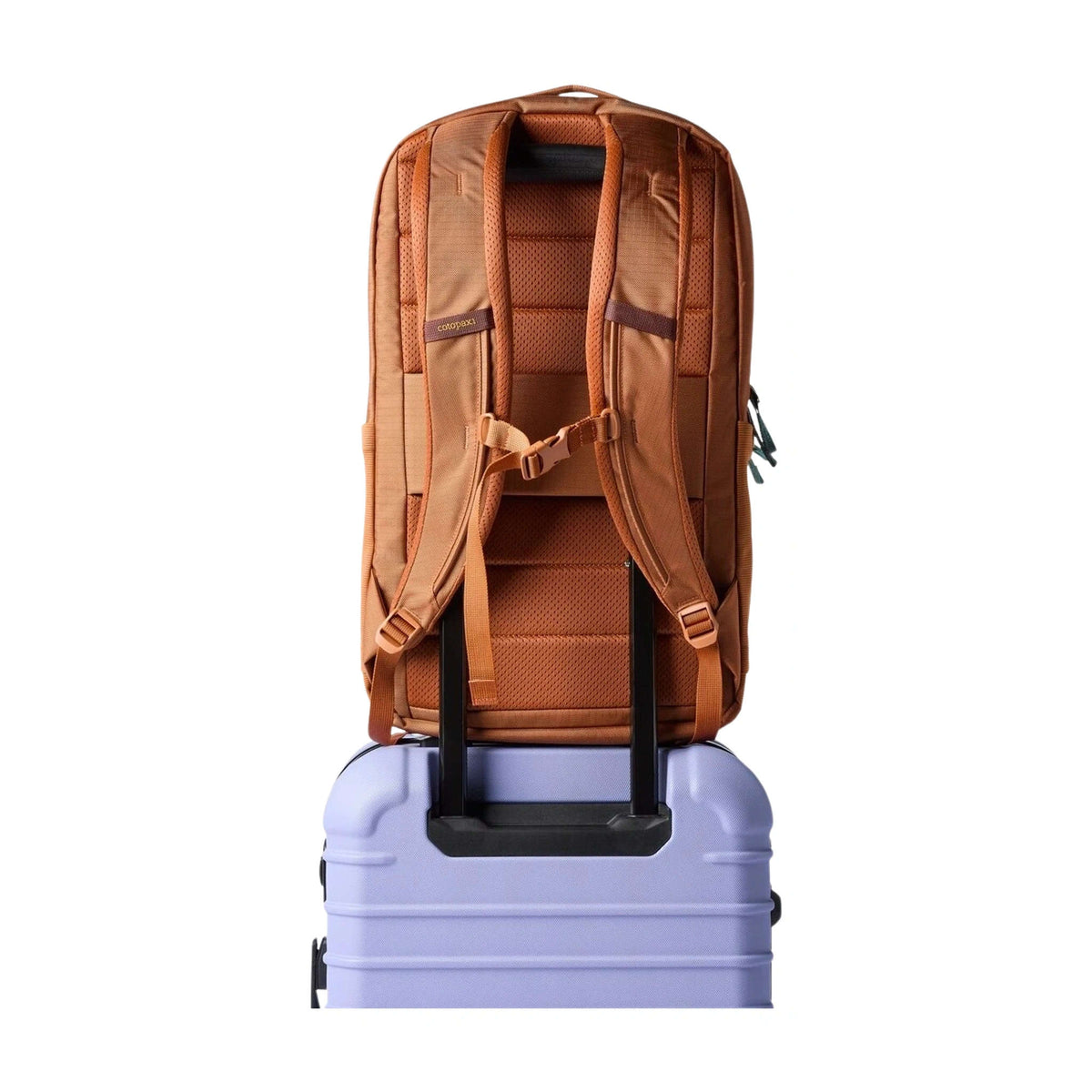 Allpa Daypack | 26L Cotopaxi A26-S26-WSKY Backpacks 26L / Whiskey