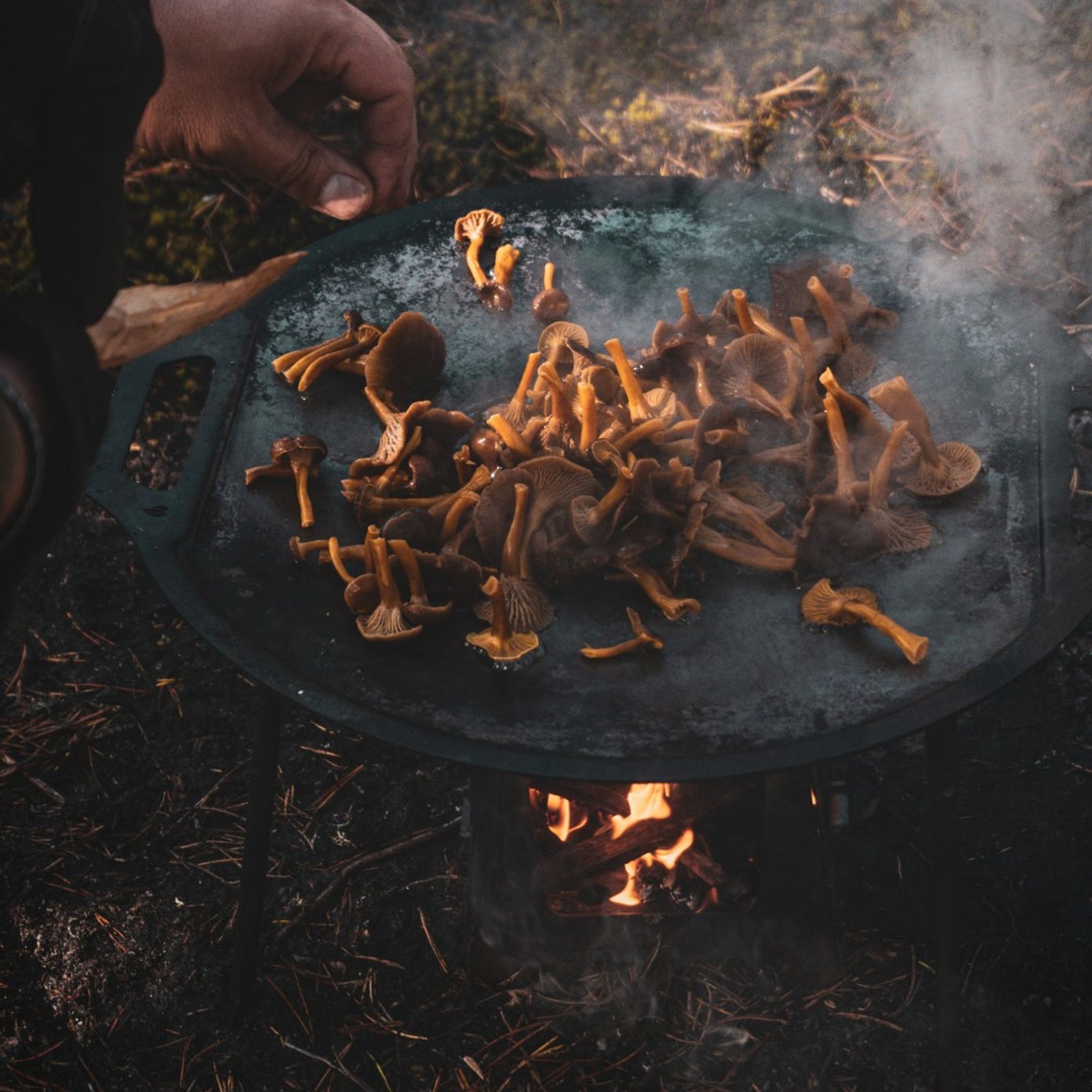 Dalum Griddle Dalum Grills