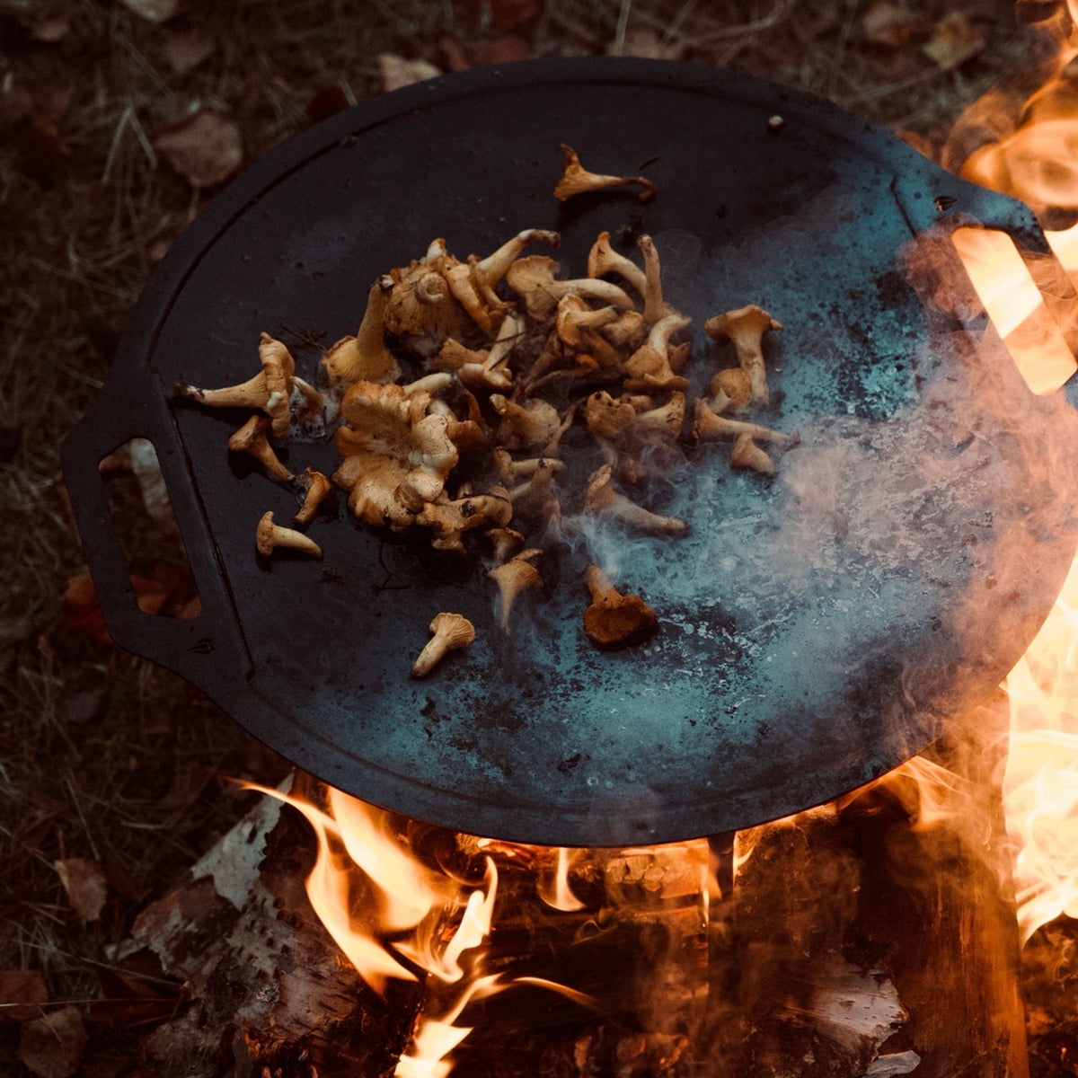 Dalum Griddle Dalum Grills