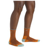 Hiker Micro Crew Midweight | Cushion | Women's Darn Tough Socks