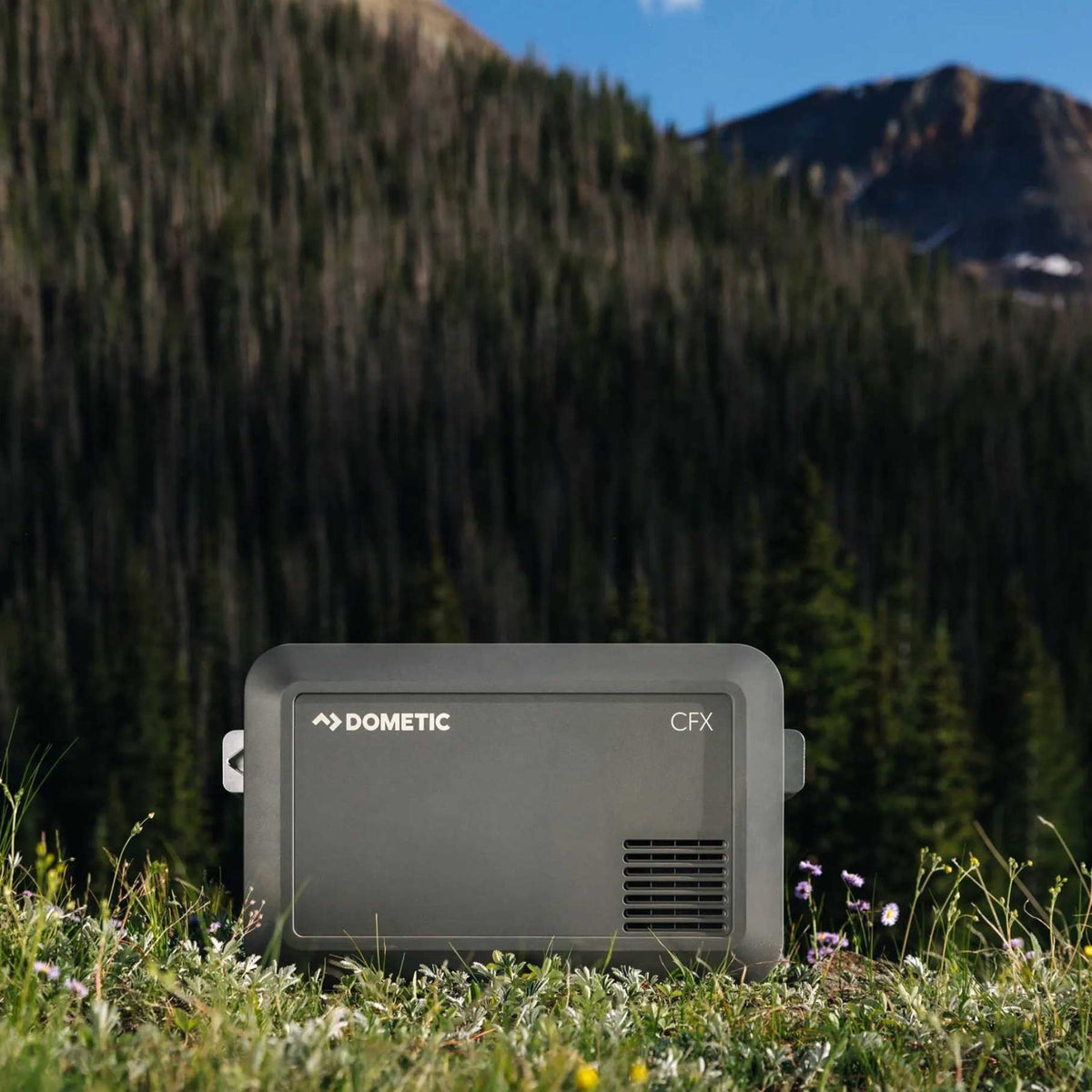 CFX5 45 | Electric Coolbox Dometic DOM003 Coolers 45L / Black