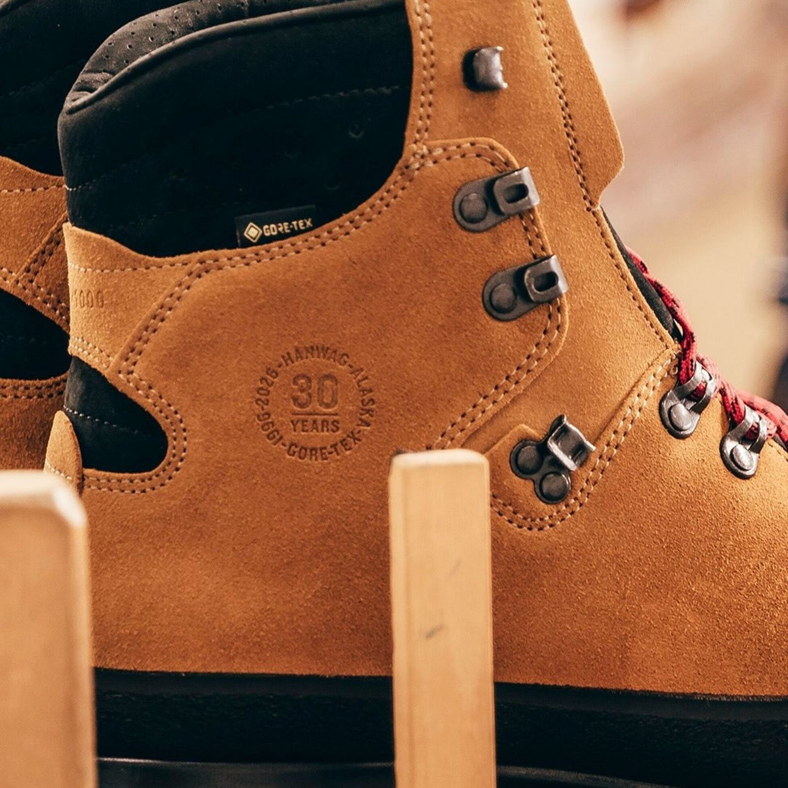 Alaska 30Y GTX | Men's Hanwag Men's Boots