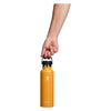 21 oz Standard Mouth Hydro Flask S21SX162 Water Bottles 21 oz / Fossil