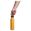 24 oz Standard Mouth Hydro Flask S24SX162 Water Bottles 24 oz / Fossil