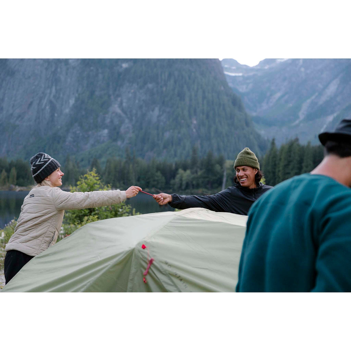 Elixir 4 Tent MSR Tents 4P / Green