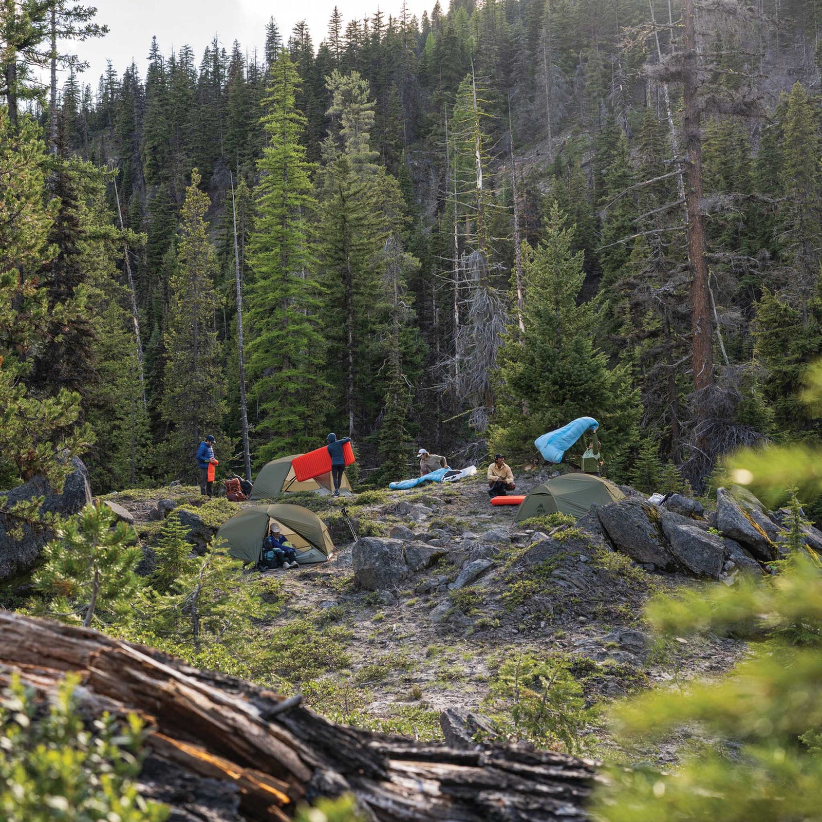 Hubba Hubba LT 3 Tent MSR 14308 Tents 3P / Olive Night
