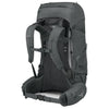 Rook 65 | Men's Osprey 10005872 Backpacks One Size / Dark Charcoal/Silver Lining