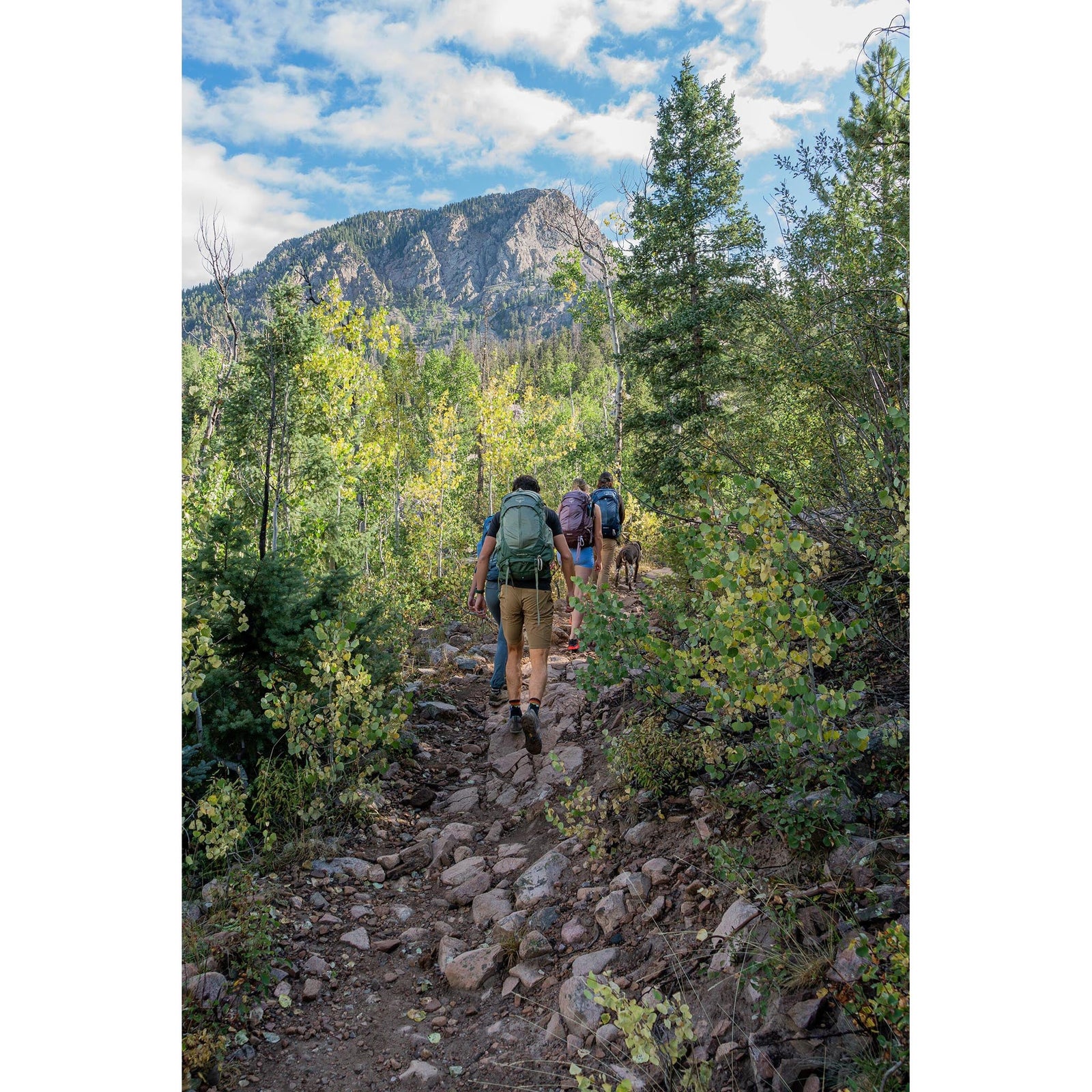 Stratos 34 | Men's Osprey 10007531 Backpacks OS / Pine Leaf