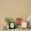 Vista 12oz Candle | Rosemary & Sea Salt Paddywax VS1002EU Candles 12oz / Blue